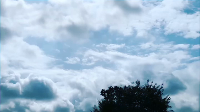 あなたらしく在るために、大切なことの記事動画