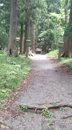 旅してきました①の記事動画
