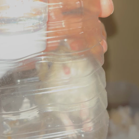 よし！ハッピーエンドだ！の画像