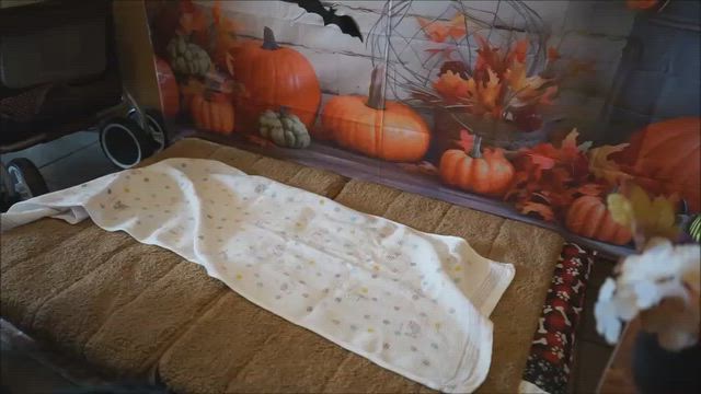 幼稚園221回目、ドッグカフェでロールの練習の記事動画