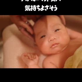 2026/07/12の画像