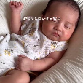 2026/07/17の画像