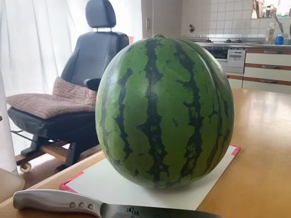 スイカの記事動画