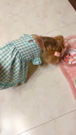 ✨お誕生日❤️✨の記事動画