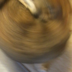 【まりの日課】お散歩ただいまダンスの画像