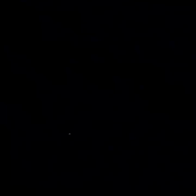 ホタル狩りの画像