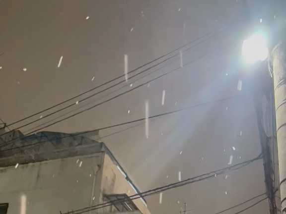 雪の上に咲く、【雪咲】のご紹介【京都本店】の記事動画