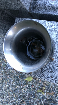 先住者ありの記事動画