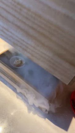 一時帰国中、玉手箱を開けてみる。の記事動画