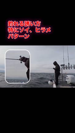 【3月】春の10目釣りスタート！SLJ＆SLOWで魚種豊富な季節の記事動画