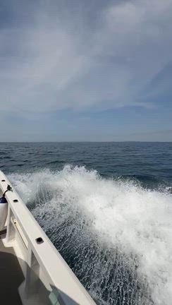 【4月20日】 釣果　水温は上昇中！あとは活性に期待の記事動画