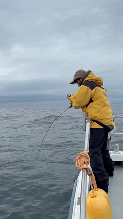 【４月２９日】釣果　強いねー！！　根魚は苦戦の記事動画