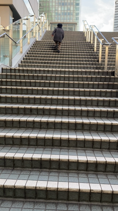 飴と鞭の記事動画