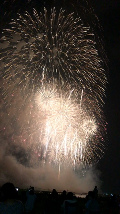 桑名水郷花火大会の記事動画
