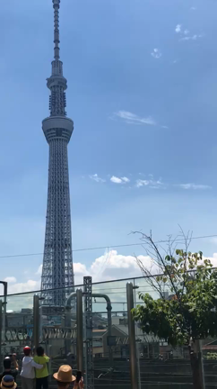 青空にブルーインパルス&オリンピック開会式の記事動画