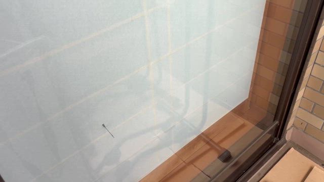 幸運のトンボさんの記事動画
