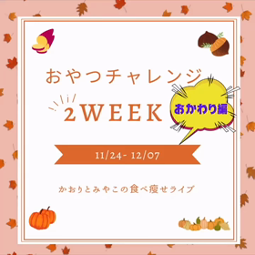 2023/11/28の画像