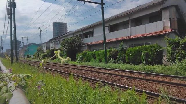 広電 リバイバルカラー 3101号 / 宮島線の記事動画