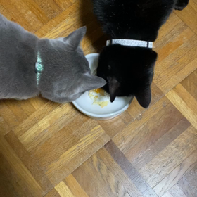その後の画像
