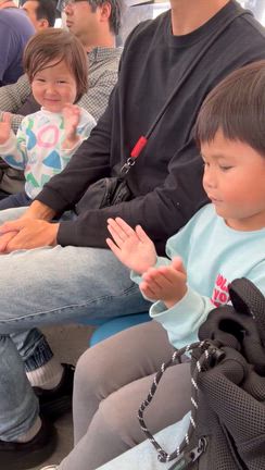 感動するイルカショーの記事動画