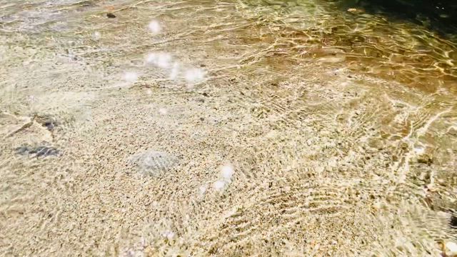 傷があなたをの記事動画