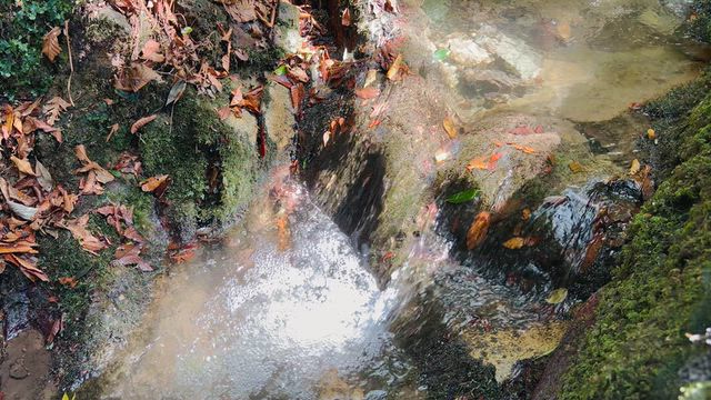 洗われて.˚⊹ ⁺の記事動画