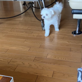 フローリングはの画像