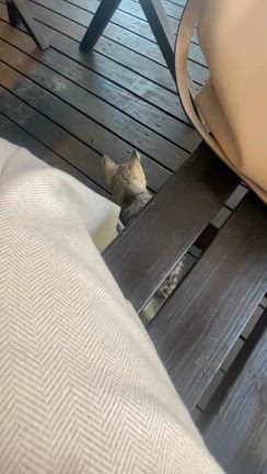 【1/fの揺らぎを求めて】感じるだけで自分を取り戻し心も体も癒してきましたの記事動画