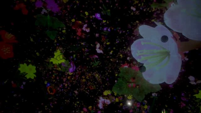☆お花の世界☆の記事動画