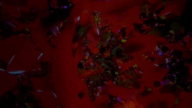 ☆お花の世界☆の記事動画