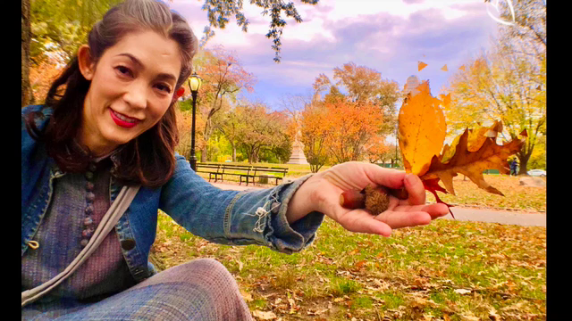 Happy Thanksgiving!の記事動画