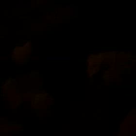 少しだけ忙しい週末の画像