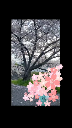 日常で音楽を楽しんでほしい！の記事動画