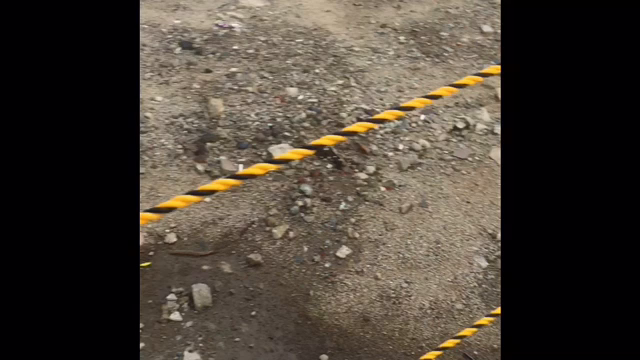 しゃべるねこ♡の記事動画