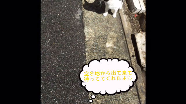 一緒に♡の記事動画