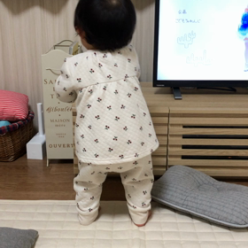 動画16の画像