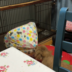 よく出来ましたの画像