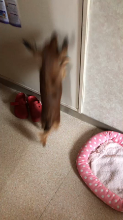 後ろ髪引かれたけど(・。・)の記事動画