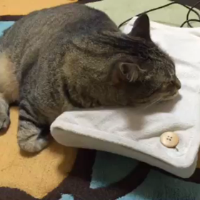 ビトン君の画像