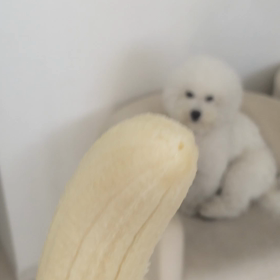 バナナ。の画像