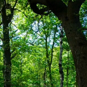 運動不足解消にの画像