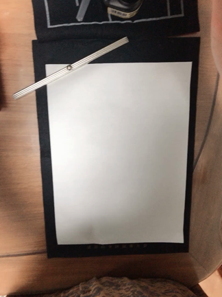 書き初め。の記事動画