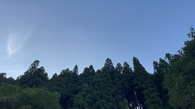 mizukagami(みずかがみ) 8月前半のご予約可能日時の記事動画