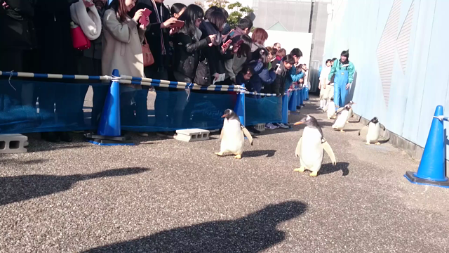 よちよちでもの記事動画