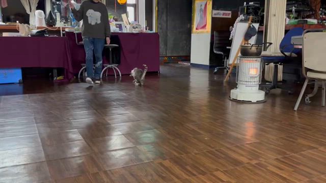 大福の記事動画