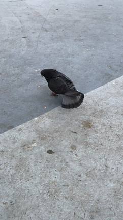 4月に入ってからの自分はの記事動画