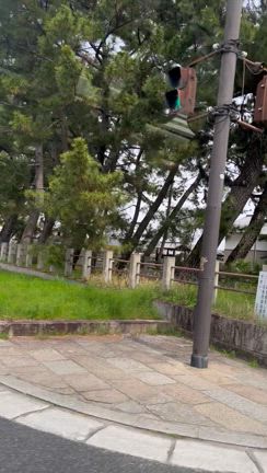 土曜日、お花見行って来ました♪の記事動画