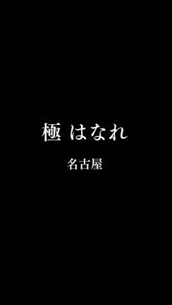 【IN名古屋】アルカリストダイエットオフ会の記事動画