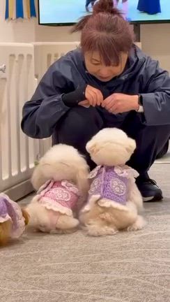 我が家から４匹♡の記事動画