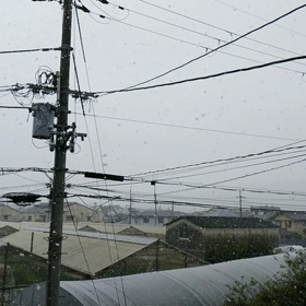 ついに、降る。。の画像